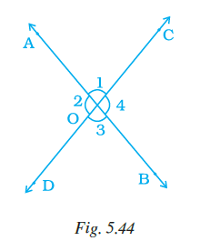 Page 143 Chapter 5 Class 7th NCERT Exemplar